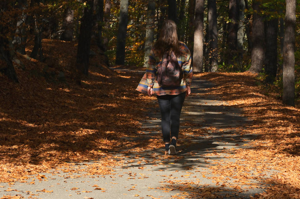 Mladá dívka s batohem kráčí lesem - Fotografie, Obrázek