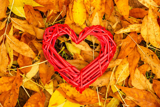 Καρδιά είναι ξαπλωμένη σε πεσμένα κίτρινα φύλλα πορτοκαλιού το φθινόπωρο. Φθινοπωρινή περίοδος - Φωτογραφία, εικόνα