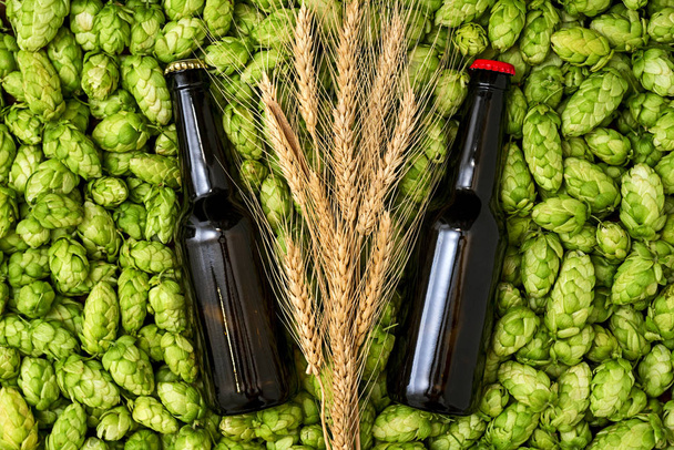 Bottiglie di vetro di birra, coni verdi di luppolo e grano vista dall'alto
 - Foto, immagini