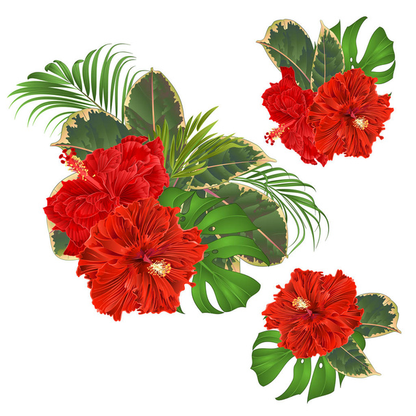 Csokor trópusi virágok készlet virágdísz gyönyörű piros hibiszkusz hullámkarton pálma, philodendron és ficus vintage vektor illusztráció szerkeszthető kézi sorsolás  - Vektor, kép