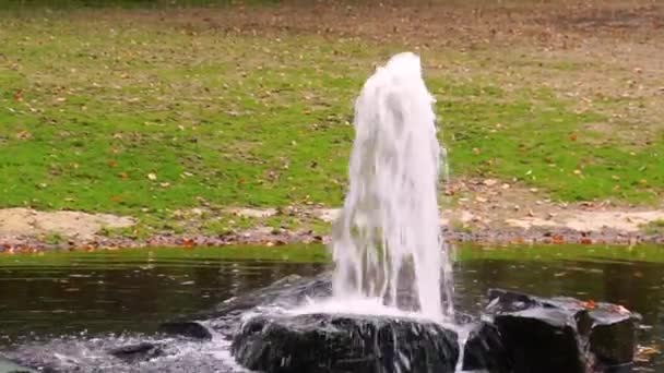 dekoracje ogrodowe i parkowe, fontanna wodna opryskująca dużą wiązkę wody - Materiał filmowy, wideo
