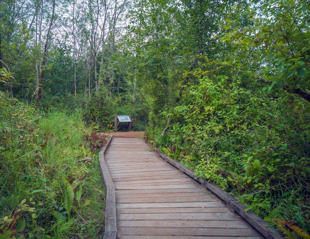Gloriously motley photos of marvelous King County's Mercer Slough Nature Park in Bellevue, Washington - Photo, Image