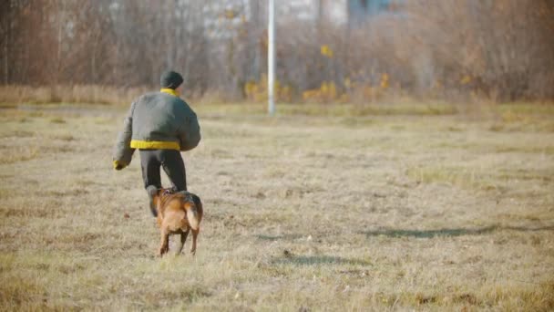 男はドイツの羊飼いの犬を訓練-犬は彼の後を実行し、彼をキャッチ-腕の中でかむ - 映像、動画