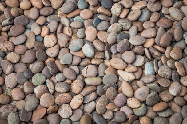 multi gekleurde van aard rock kiezelsteen - Foto, afbeelding