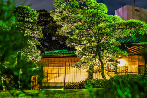 Japán ház képe - Fotó, kép