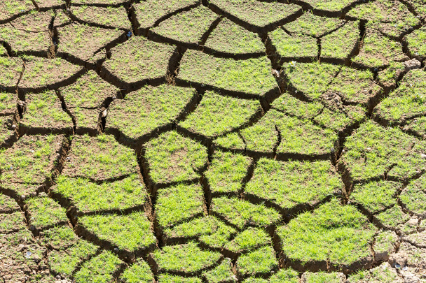 Pinnan tausta halkeilee kuivassa maaperässä summ
 - Valokuva, kuva