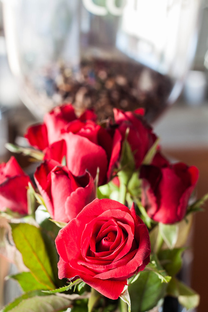 Hermosas rosas rojas frescas
 - Foto, Imagen