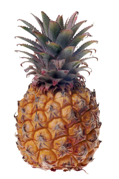 Pineapple - Foto, afbeelding
