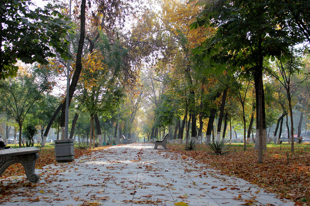 herbstliche Stadtpark-Szene. Herbst in der Stadt. Herbstliches Stadtbild. Herbstlandschaft - Foto, Bild