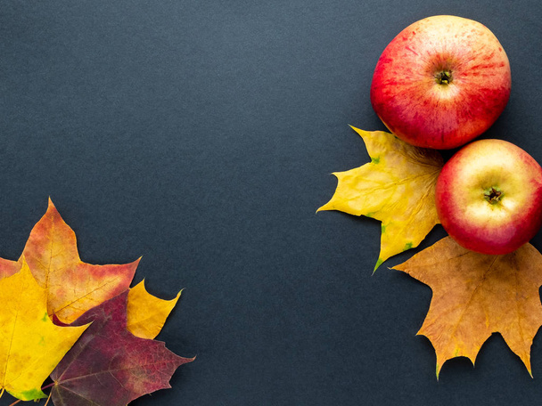 Top view on red apples and colorful autumn leaves on a dark gray background. Top view with space for text. - Fotoğraf, Görsel