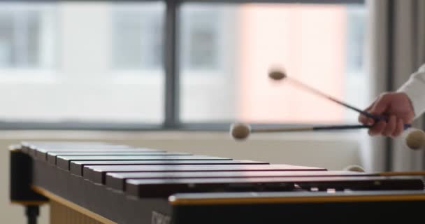 Mann, der Marimba spielt. schöne Drumsticks Bewegungen des Musikers. Schnelle Hände spielen Marimba mit Fingerfertigkeit und Kunst professionelle Menschen Atmosphäre. verschwommener Hintergrund mit Fenstern. - Filmmaterial, Video