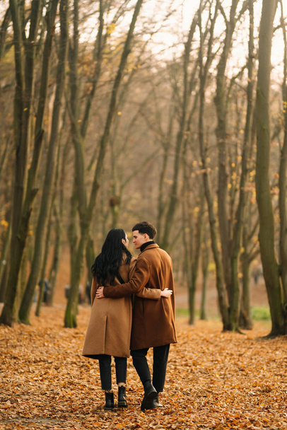 Stylish young couple outdoors on a beautiful autumn day in the forest. Young couple in love holding hands and walking through a park on a autumn day. The concept of youth, love and lifestyle. - Fotó, kép
