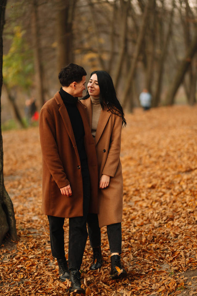 Stylish young couple outdoors on a beautiful autumn day in the forest. Young couple in love holding hands and walking through a park on a autumn day. The concept of youth, love and lifestyle. - 写真・画像