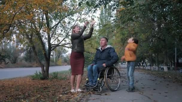 Tekerlekli sandalyedeki neşeli engelli adam, ailesinin ağaçların arkasına güzel yapraklar saçmasıyla eğleniyor. - Video, Çekim