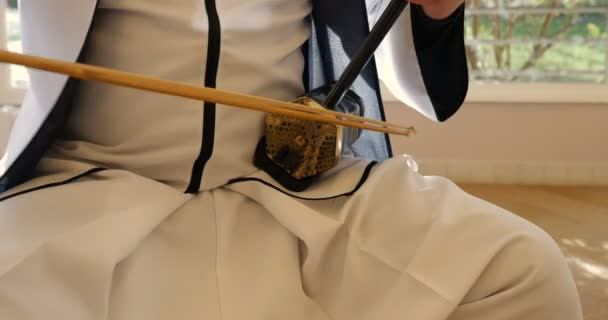 geweldige professionele muzikant spelen erhu, Chinese traditionele boog twee snaarinstrumenten met python huid. zwart-wit man outfit, natuurlijke mooie binnenverlichting - Video