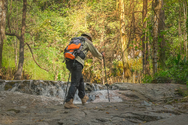 A young man with a backpack in the rainy season forest with a wa - Photo, Image