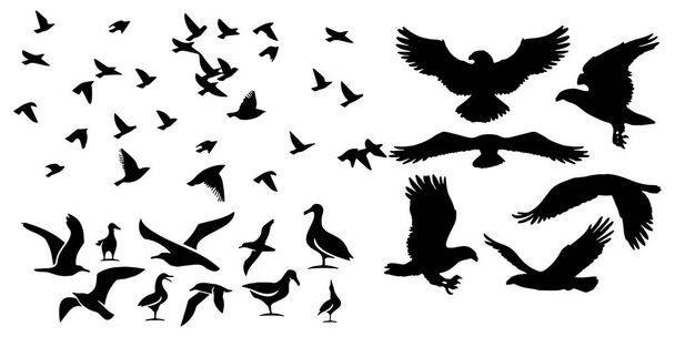 Значки птиц задают векторную иллюстрацию на белом фоне
 - Вектор,изображение