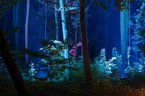 surrealista miedo bosque oscuro fondo
 - Foto, Imagen