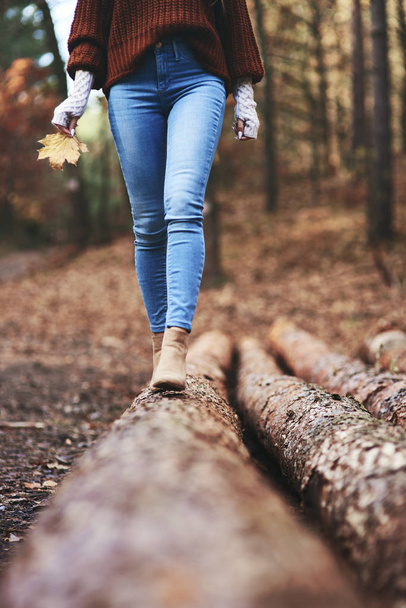 Autumn walk by forest footpath - 写真・画像