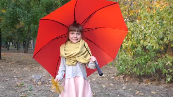 samica dziecko chodzi pod czerwonym parasolem w parku z żółtymi liśćmi w rękach jesienią - Materiał filmowy, wideo