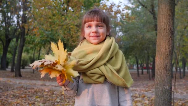 feliz pequeña hembra sonriendo a la cámara con hojas amarillas de otoño en la mano en el parque
 - Imágenes, Vídeo