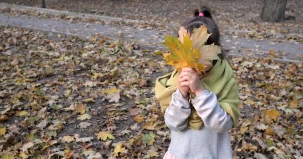criança bonita no cachecol quente brinca com folha amarela de bordo no fundo da folhagem de outono
 - Filmagem, Vídeo