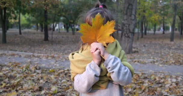 roztomilý holčička kryje její tvář se žlutým listem a usmívá se do kamery na podzim detailní - Záběry, video