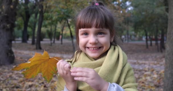 ευτυχισμένη συγκίνηση, πορτρέτο θηλυκό παιδί με σφενδάμι κίτρινο φύλλο χαμογελώντας στην κάμερα στη φύση το φθινόπωρο - Πλάνα, βίντεο