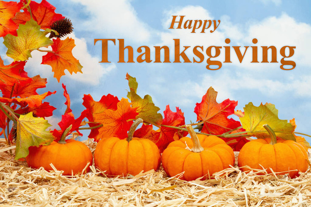 Feliz saludo de Acción de Gracias con calabazas naranjas con licencia de otoño
 - Foto, imagen