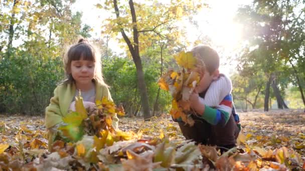 lapset istuvat keltaiset lehdet käsissä taustalla puiden ja lehtien syksyllä puistossa auringonvalossa
 - Materiaali, video