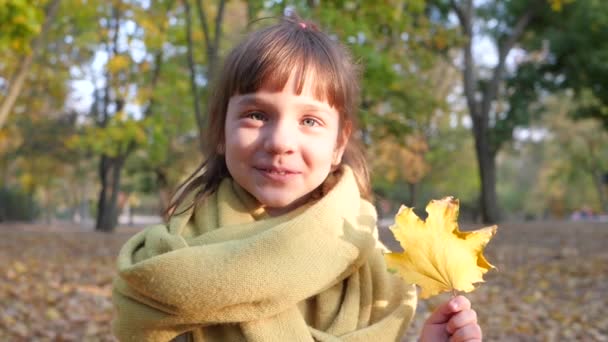 Sonbahar parkında elinde sarı yaprakla gülümseyen küçük bir kızın portresi. - Video, Çekim