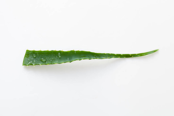 Aloe Vera cut leaves on white background - Photo, image