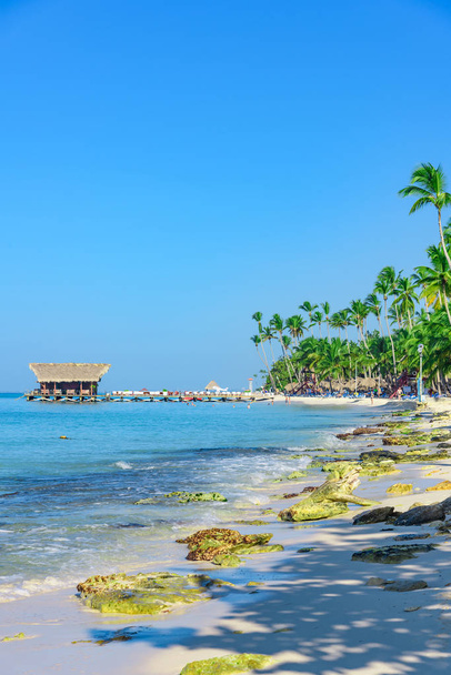 caribbean beach arbor palm roof path to the sea - Фото, изображение
