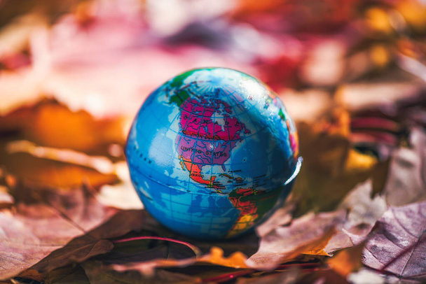 Close up of a small globe lies on colorful autumn maple leaves in the autumn forest. Concept. Selective focus. - Foto, Bild