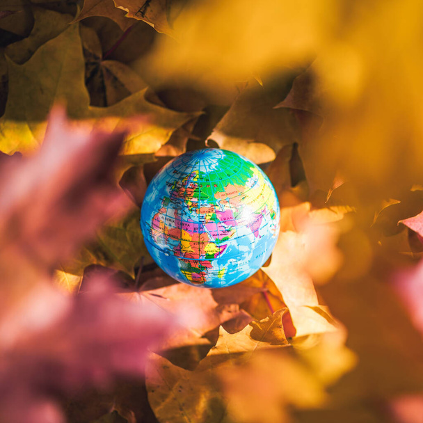 Close up of a small globe lies on colorful autumn maple leaves in the autumn forest. Concept. Selective focus. Russia, Europe, Asia, Africa. indian summer - Foto, afbeelding