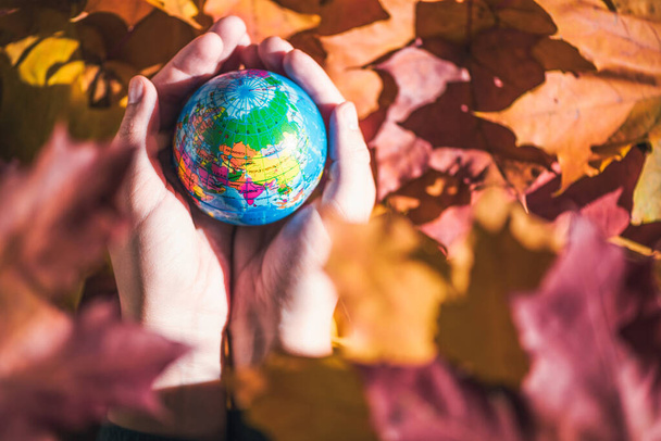 Close up of a small globe in a female hends on colorful maple leaves background. Autumn forest. Concept. Selective focus. Russia, Europe, Asia, Africa. indian summer - Foto, Bild