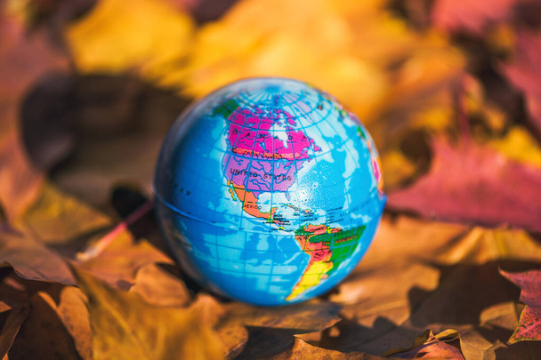 Close up of a small globe lies on colorful autumn maple leaves in the autumn forest. Concept. Selective focus. - Photo, Image