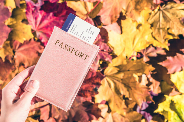 passport with boarding pass in the woman hand maple leaves background in the autumn forest.  Travel Concept. Top view. Indian summer. - Zdjęcie, obraz