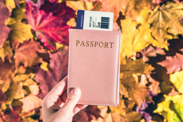 passport with boarding pass in the woman hand maple leaves background in the autumn forest.  Travel Concept. Top view. Indian summer. - Zdjęcie, obraz