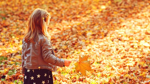 Πίσω όψη του ξανθού κοριτσιού. Ένα παιδί που περπατάει στο πάρκο το φθινόπωρο. Το παιδί παίζει με τα φθινοπωρινά φύλλα. Καλές καλοκαιρινές διακοπές. - Φωτογραφία, εικόνα