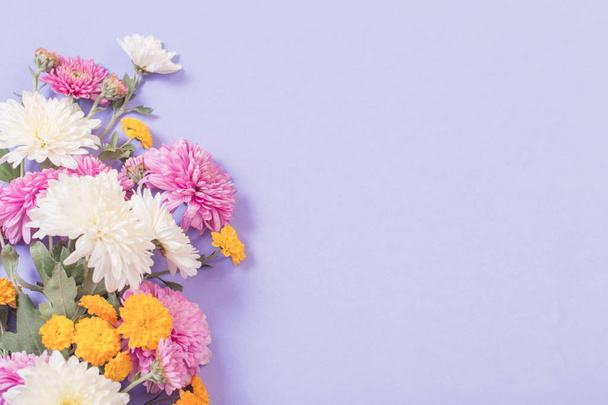 chrysanthemums on violet paper background  - Fotoğraf, Görsel