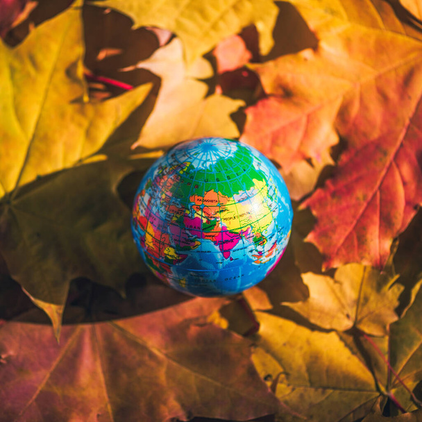Close up of a small globe lies on colorful autumn maple leaves in the autumn forest. Concept. Selective focus. Russia, Europe, Asia, Africa. indian summer - Фото, зображення