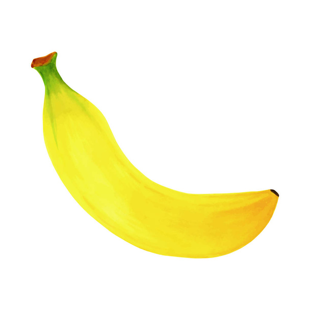 Käsin piirretyt merkit maalaus hedelmä banaani valkoisella pohjalla. loma-onnittelukortin suunnittelu ja kausiluonteisten kesälomien, kesärantajuhlien, matkailun ja matkailun kutsu
 - Vektori, kuva