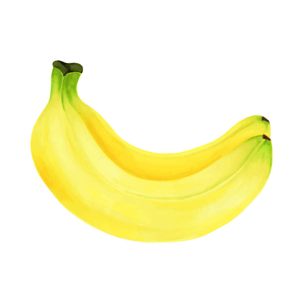 Hand getekende markeringen schilderij fruit banaan op witte achtergrond. ontwerp voor vakantie wenskaart en uitnodiging van seizoensgebonden zomer vakantie, zomer strandfeesten, toerisme en reizen - Vector, afbeelding
