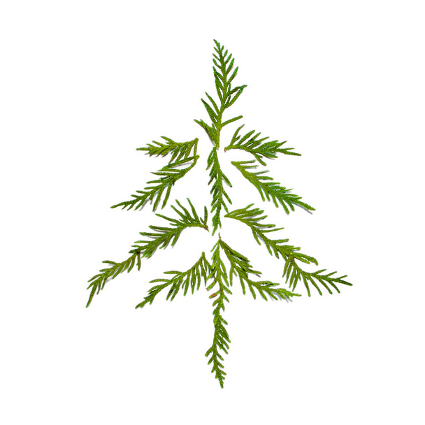 Small decorative christmas tree made of fir twigs isolated on white background - Foto, imagen