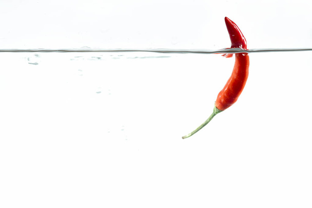 Red chilli, water splashes, solated on a white background - 写真・画像