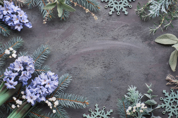 Top view on dark winter background with fir twigs and blue hyaci - Valokuva, kuva