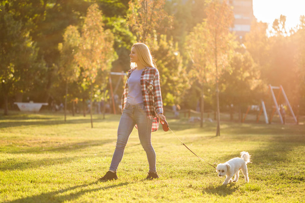 Beautiful woman walking with her Maltese dog in the park. - Фото, изображение