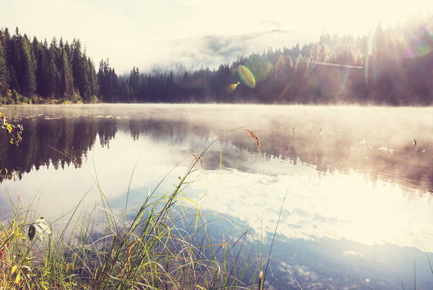 Misty lago de montanha no início da manhã serena em montanhas. - Foto, Imagem