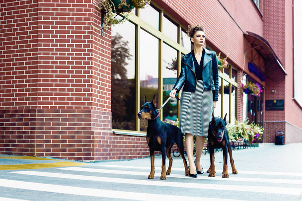 A girl walks along the street in the city along the building with two Dobermans on a leash. - Foto, Bild